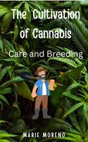The Cultivation of Cannabis Care and Breeding