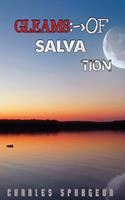   Gleams Of Salvation