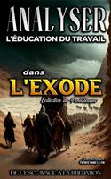   Analyse de L'enseignement du Travail dans l'Exode: De L'esclavage &agrave; la Lib&eacute;ration