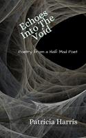   Echoes Into The Void