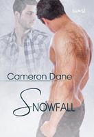   Snowfall