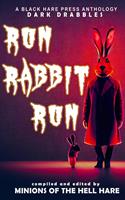   Run, Rabbit, Run