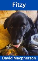   Fitzy