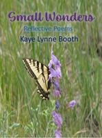   Small Wonders