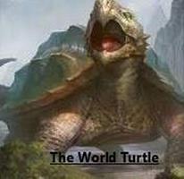   The World Turtle