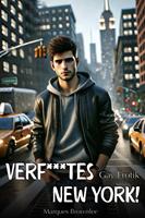   Verf***tes NewYork! - Gay Erotik