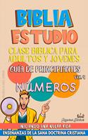 Clase Bíblica para Jóvenes y Adultos: Guía de principiantes: Números