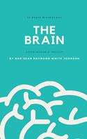   The Brain