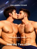   Just the Two of Us: Gay Couples'Erotica