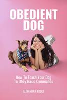   Obedient Dog How to Teach Your Dog To Obey Basic Commands