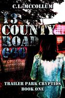  13 County Road 666