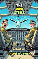   The Bird Strike