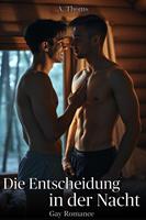   Die Entscheidung in der Nacht: Gay Romance