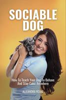   Sociable Dog How To Teach Your Dog To Behave And Stay Calm Anywhere