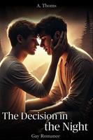   The Decision in the Night: Gay Romance