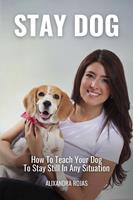   Stay Dog How To Teach Your Dog To Stay Still In Any Situation