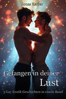   Gefangen in deiner Lust: 3 Gay Erotik Geschichten in einem Band