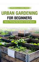 Urban Gardening for Beginners: Grow a Thriving City Garden in Small Spaces