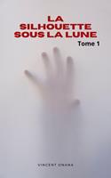 La silhouette sous la lune