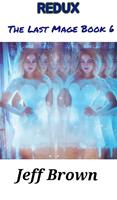 Redux: The Last Mage Book 6