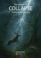   The Gospel of Collapse