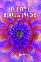   My Little Book of Poems