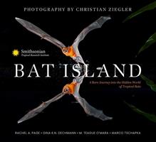   Bat Island