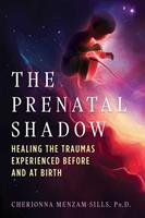   The Prenatal Shadow