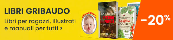 boxdx gribaudo set26
