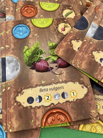 Crops . Gioco da tavolo  Little Rocket Games 2025 | Libraccio.it