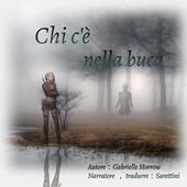 Libraccio Chi c'è nella buca (audiolibro)