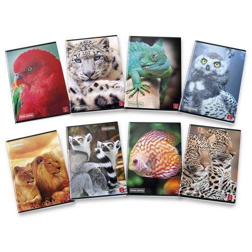 Maxi quaderni A4 Pigna Animals. Pack da 3 pezzi assortiti - Libro  Libromania 2020