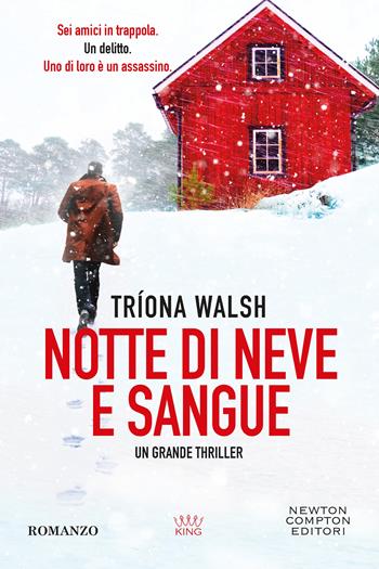 Notte di neve e sangue - Triona Walsh - Libro Newton Compton Editori 2025, GIG 1+1 | Libraccio.it