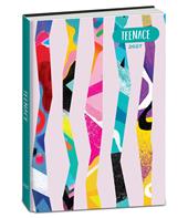 Diario 2027 Teenace 12 mesi Standard
