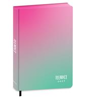 Diario 2027 Teenace 12 mesi Special Standard