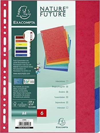 Divisorio in cartoncino Excompta Lustr&#232;e a 6 Tacche A4  Exacompta 2020 | Libraccio.it