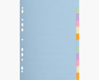 Divisori neutri 12 tasti A4 - Cartoncino riciclato 170 g/mq  Exacompta 2023 | Libraccio.it