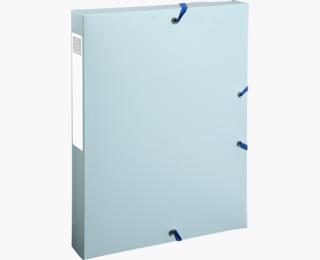Cartelle Portaprogetti Ppl reciclato dorso 40mm Bee Blue 4 col. assortiti  Exacompta 2023 | Libraccio.it