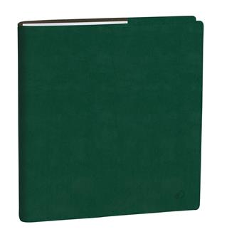 Agenda Settimanale Quo Vadis 2027, 13 mesi, Esecutivo, con rubrica, italiano, Roma verde inglese - 16 x 16 cm  Quo Vadis 2026 | Libraccio.it