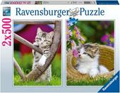 Ravensburger - Puzzle Gattini, 2x500 Pezzi, Puzzle Adulti