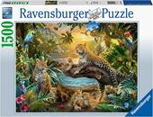 Ravensburger - Puzzle Leopardi nella giungla, 1500 Pezzi, Puzzle Adulti