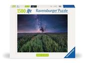 Ravensburger - Puzzle Campo Stellato, 1500 Pezzi, Puzzle Paesaggi per Adulti e Ragazzi, Idea Regalo per Lei o Lui, 80x60 cm