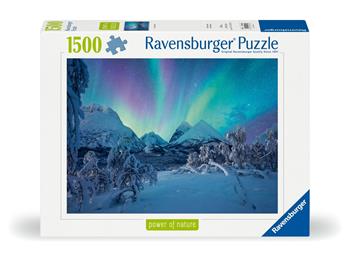 Ravensburger, Puzzle 1500 pezzi, Lo spettacolo dell'Artico  Ravensburger 2024 | Libraccio.it