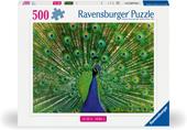Ravensburger - Puzzle Pavone, 500 pz