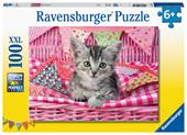 Ravensburger - Puzzle Bel gattino, 100 Pezzi XXL, Et&#224; Raccomandata 6+ Anni