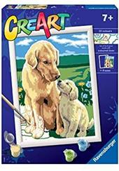CreArt Serie D Retriever sul prato