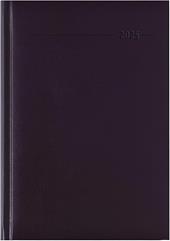 Alpha Edition - Agenda Giornaliera Monocromo 2025, Formato Grande 15x21 cm, Red, 352 pagine