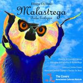 Libraccio Malastrega (audiolibro)