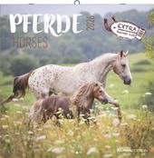 ALPHA EDITION - Calendario 2026 da muro, 12 mesi, 30x30 cm, Horses