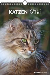 ALPHA EDITION - Calendario 2026 da muro, 12 mesi, 23,7x34 cm, Cats
